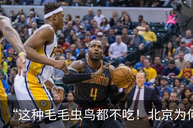 “这种毛毛虫鸟都不吃！北京为何今年特别多？答案让人意外”