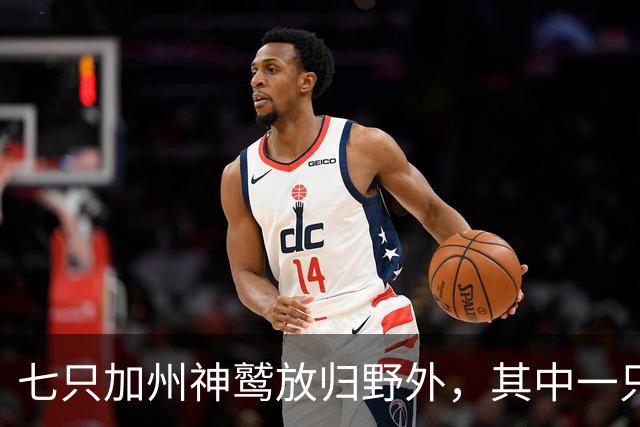 七只加州神鹫放归野外，其中一只是第200只