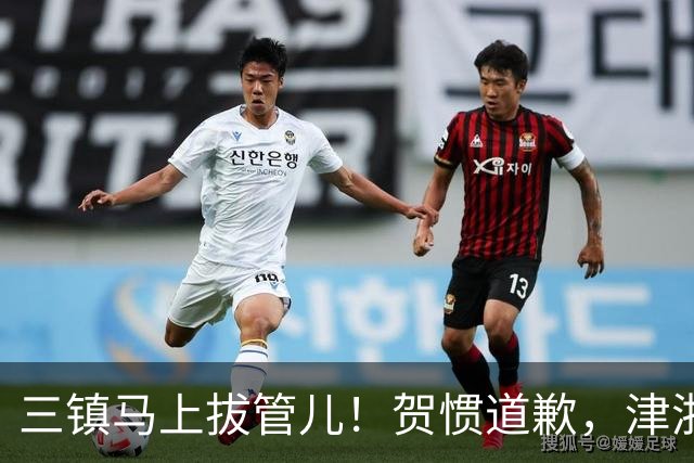 三镇马上拔管儿！贺惯道歉，津浙深辽豫发来贺电！河南全败也能保级