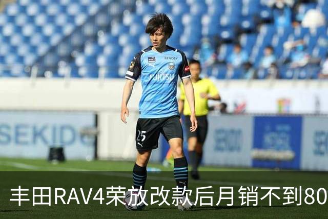 丰田RAV4荣放改款后月销不到8000台，二十万级SUV真扛不住了？