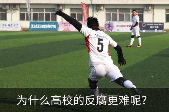 为什么高校的反腐更难呢？