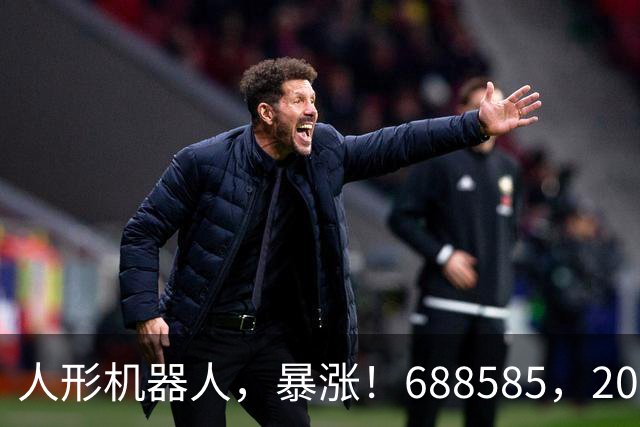 人形机器人，暴涨！688585，20cm涨停！