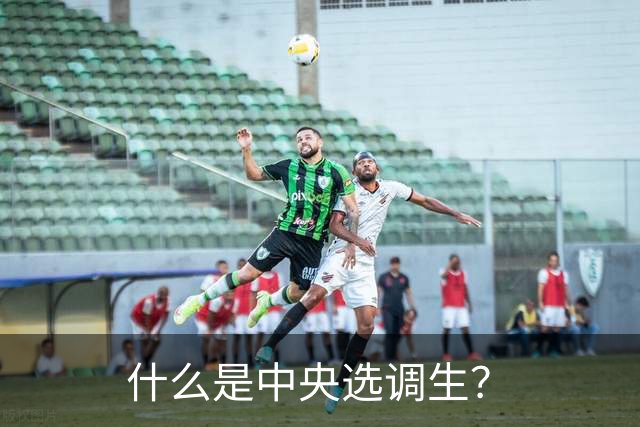 什么是中央选调生？