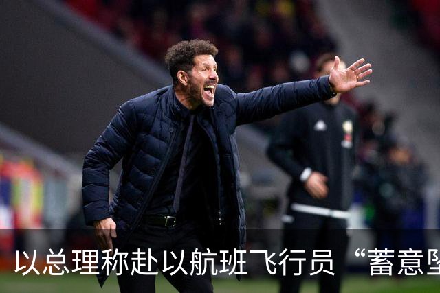 以总理称赴以航班飞行员“蓄意坠机”