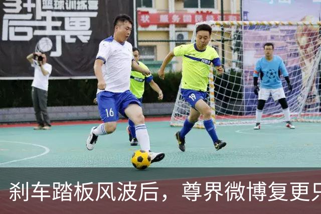 刹车踏板风波后，尊界微博复更只发了组图