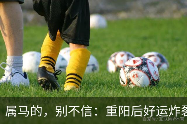 属马的，别不信：重阳后好运炸裂，两桩喜事找上门！