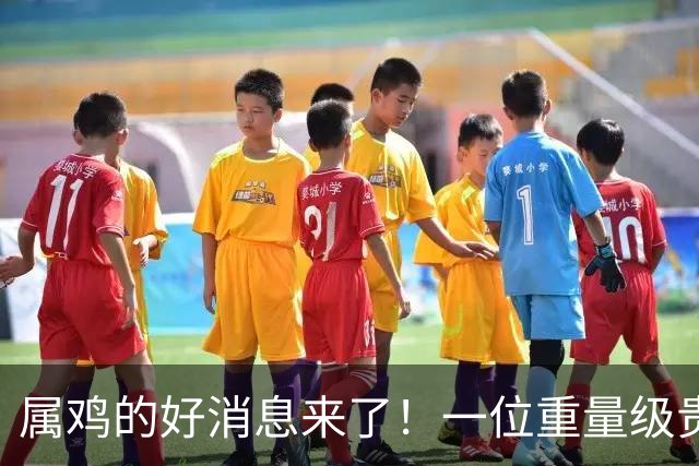 属鸡的好消息来了！一位重量级贵人现身，错过再等一年