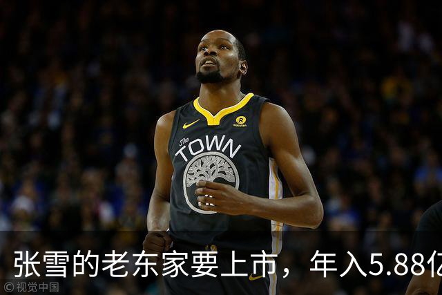 张雪的老东家要上市，年入5.88亿，最赚钱的却是卖“玩具”