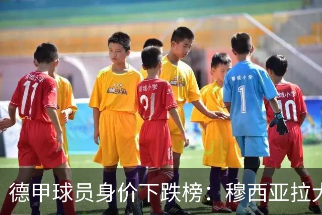 德甲球员身价下跌榜：穆西亚拉大跌2000万欧，拜尔下跌500万