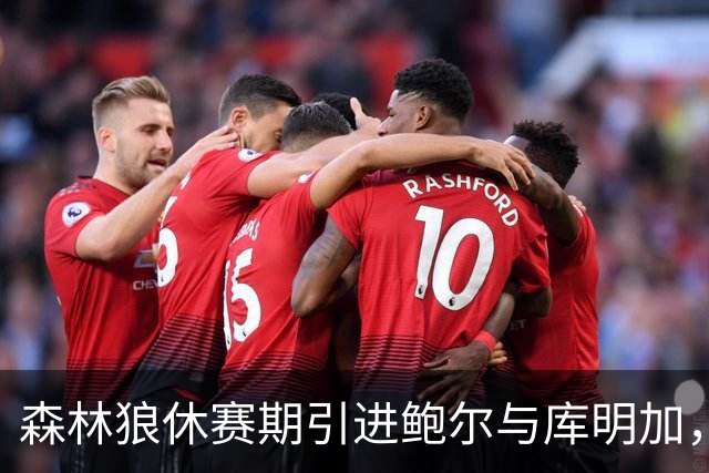 森林狼休赛期引进鲍尔与库明加，未来或东迁东部