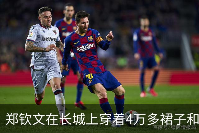 郑钦文在长城上穿着4万多裙子和1万多的鞋，我的关注点却落在她的脚上