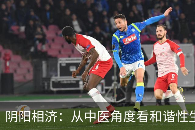 阴阳相济：从中医角度看和谐性生活的调养之道