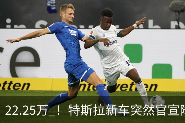 22.25万 ！特斯拉新车突然官宣降价