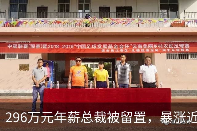 296万元年薪总裁被留置，暴涨近200％的哈药股份一字跌停：无实控人药企的监督之问