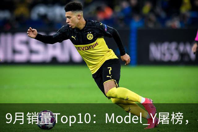 9月销量Top10：Model Y屠榜，丰田双油车爆发，国产20万级仅一款能打？