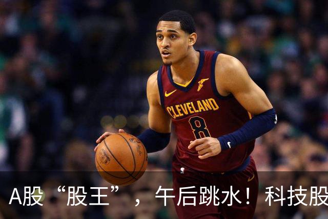 A股“股王”，午后跳水！科技股，跌幅靠前