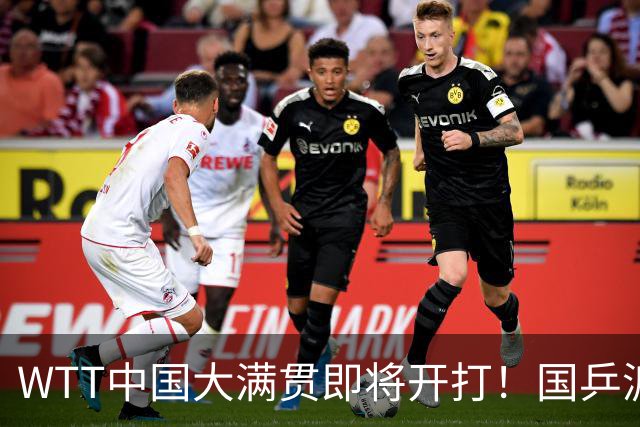 WTT中国大满贯即将开打！国乒派出全部主力，焦点不在王楚钦身上